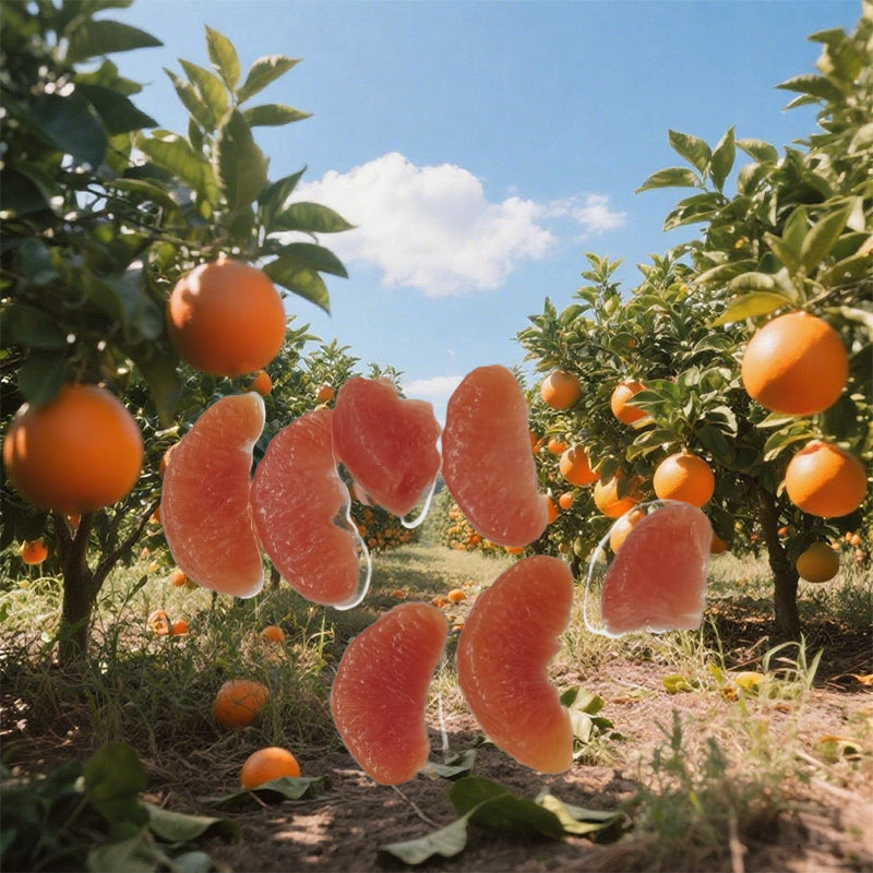 huayushipin Grapefruit Slices in syrup(Specific prices consult customer service)Large and whole, sweet and tart