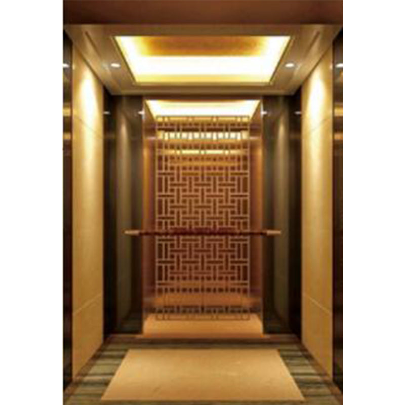 apashilongdianti Wooden decoration passenger villa elevatorAPSL-B09 Silent elevator Residential elevator
