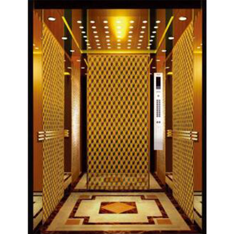 apashilongdianti Luxury Villa passenger liftAPSL-R2019-19 Silent elevator Residential elevator