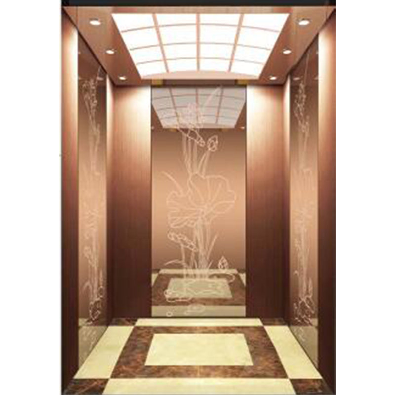 apashilongdianti Boutique passenger villa elevatorAPSL-R2020-26 Silent lift home outdoor