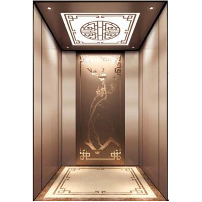 apashilongdianti Boutique passenger villa elevatorAPSL-R114 Silent lift home outdoor