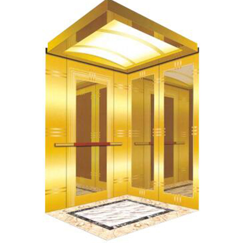apashilongdianti Luxury villa elevatorAPSL-B21 Silent elevator Residential elevator